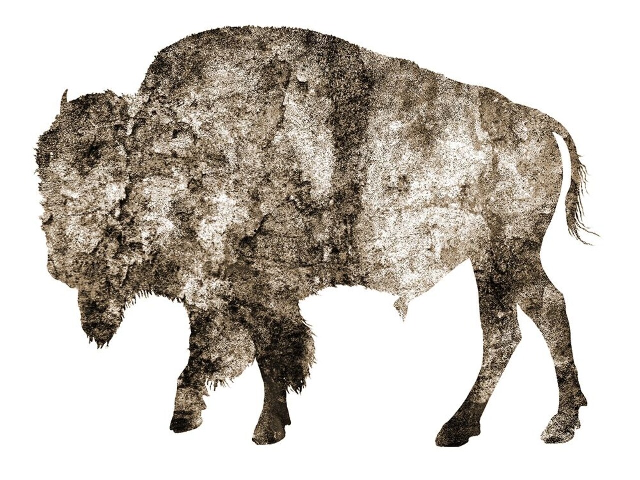 Rustic Bison 2 Poster Print by Jamie Phillip # JRH186B